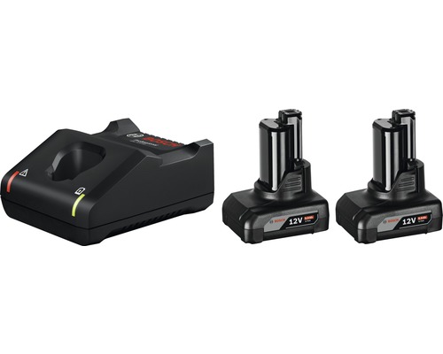 Starter Set Bosch 12 V, 6,0 Ah Li Akkus + Ladegerät