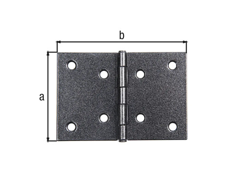 Scharnier Duravis 60x90x1,25 mm schwarzdiamant