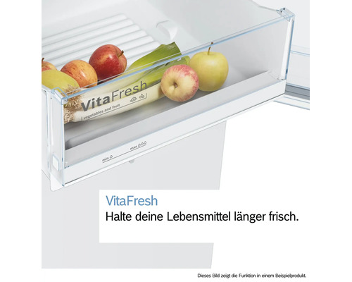 Kühl- und Gefrierkombination Bosch KGV36VLEA BxHxT 60 x 186 x 65 cm Kühlteil 214 l Gefrierteil 94 l