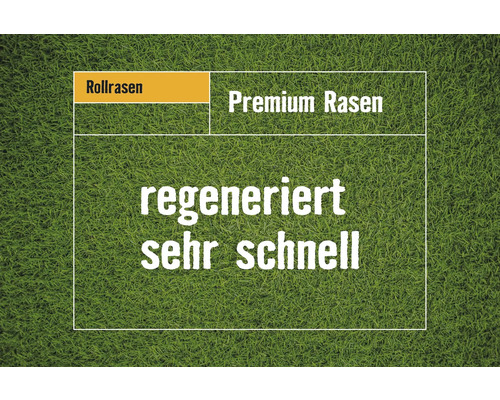 Rollrasen Premium-Rasen Bestellmenge 50 - 99 m² tagesfrisch geschält, extrem strapazier- und widerstandsfähig, regeneriert sehr schnell, Hitze -und Trockenheits- tolerant, kräftiges Grün, der ideale Spielrasen für sonnige bis halbschattige Lagen